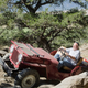 Illustration for article titled Theres Nothing Cooler Than Flat-Fender Jeeps Offroading
